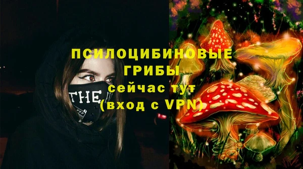 бутират Краснослободск
