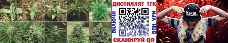 ТГК гашишное масло  Купить закладки  Выборг 